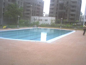 swimming_pool-2.jpg